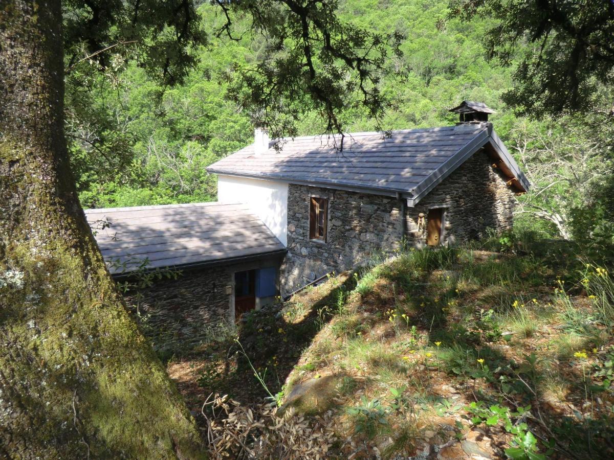 Transgardon B&B En Cevennes Saint-Privat-de-Vallongue Exteriör bild