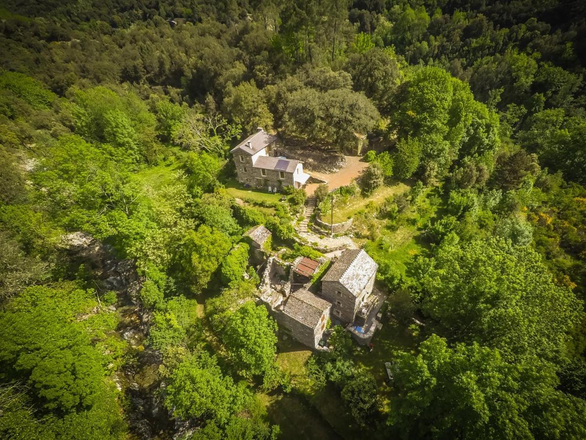 Transgardon B&B En Cevennes Saint-Privat-de-Vallongue Exteriör bild