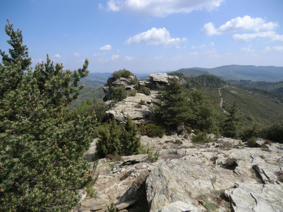 Transgardon B&B En Cevennes Saint-Privat-de-Vallongue Exteriör bild