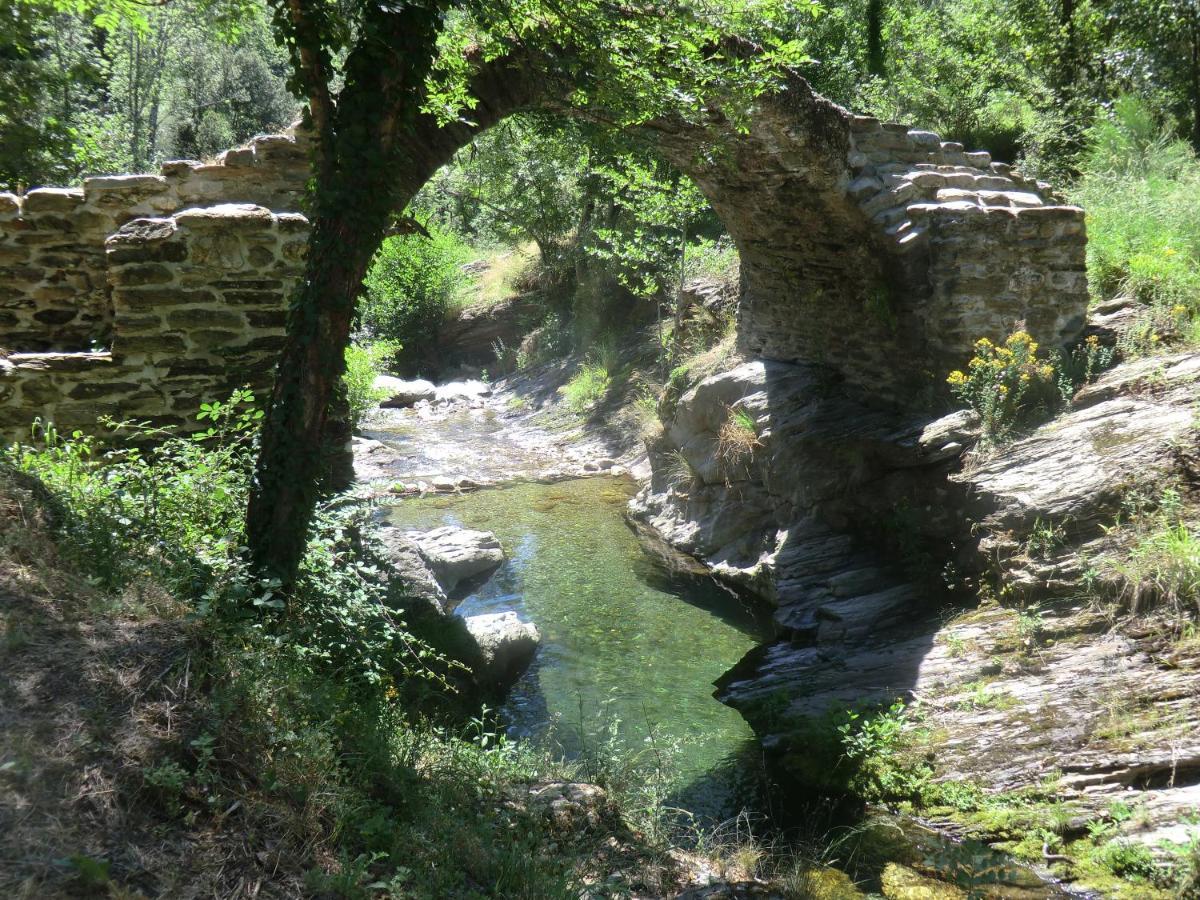 Transgardon B&B En Cevennes Saint-Privat-de-Vallongue Exteriör bild