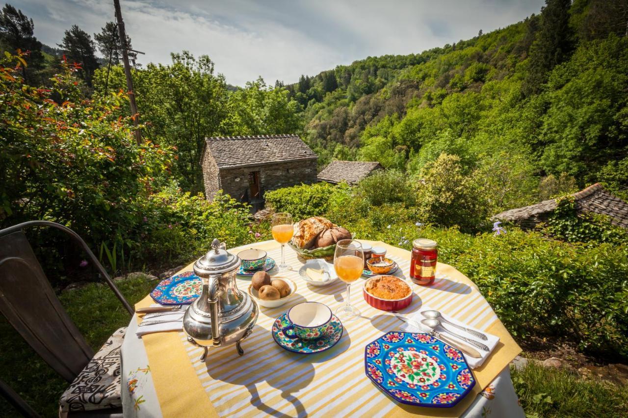 Transgardon B&B En Cevennes Saint-Privat-de-Vallongue Exteriör bild