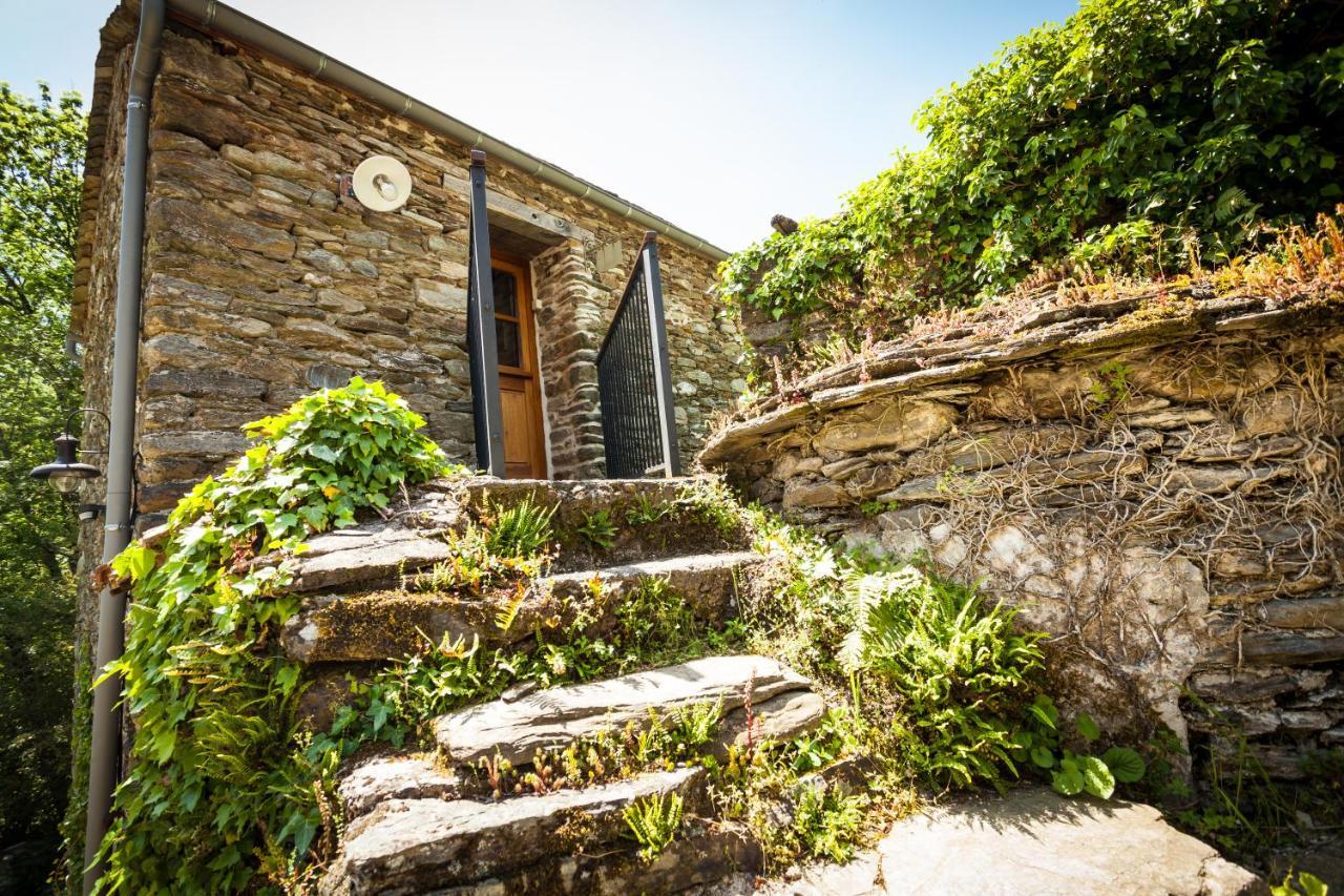 Transgardon B&B En Cevennes Saint-Privat-de-Vallongue Exteriör bild