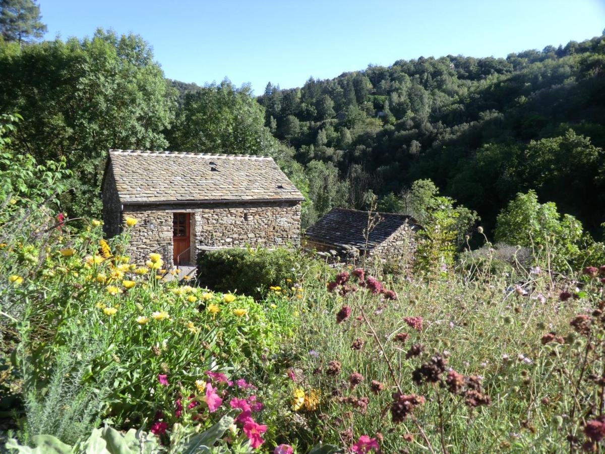 Transgardon B&B En Cevennes Saint-Privat-de-Vallongue Exteriör bild